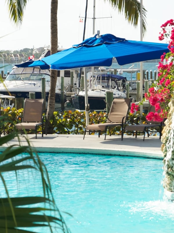 A stunning pool area with lush vegetation.