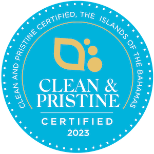 Clean and pristine logo