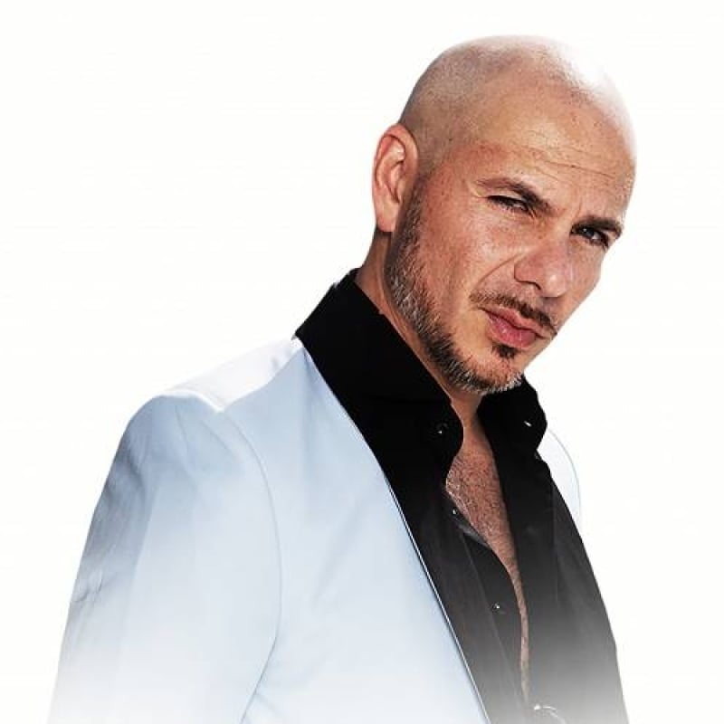 pitbull