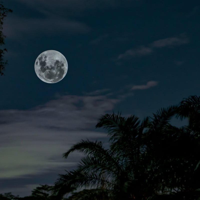 Full Moon Yoga